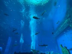 -亚特兰蒂斯•OSSIANO奥西亚诺海底餐厅