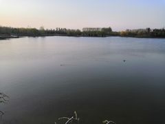 -东郊湿地公园