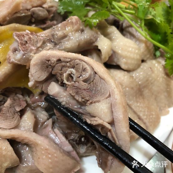 肖七鱼虾海鸭