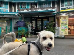 -爱侣宠医·鹦鹉专科·小型哺乳类·异宠专科(灵石路店)