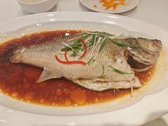 清蒸鲈鱼-眉州东坡(团结湖店)