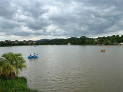 -美的鹭湖森林度假区