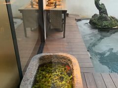 -觀芷隐轩