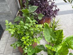 -飞虹鱼馆(春华路店)