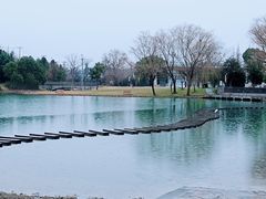 -上海佘山世茂艾美酒店