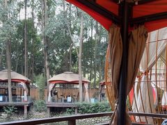 -二荆条·蜀鲜汇城市森林火锅