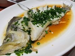 -船歌·鱼水饺青岛菜(闽江二路店)
