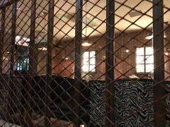 -热度餐厅(老佛爷店)