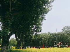 -长白岛森林公园