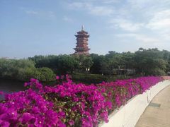 -厦门园林博览苑