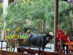 -海南槟榔谷黎苗文化旅游区