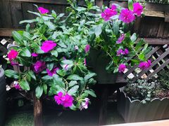 -艾加柒克蛋糕茶歇甜品台(春熙路店)