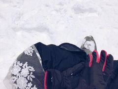 -绍兴启迪乔波冰雪世界