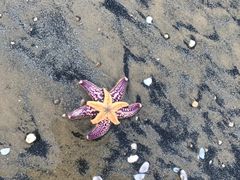 -观唐（国际）度假村温泉