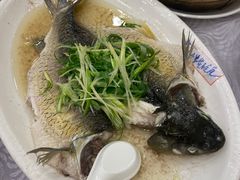 -粤·向群饭店(龙津东路总店)