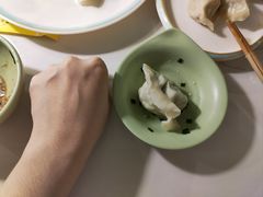 韭菜大鲜虾大份-岳姥姥饺子(泺文路店)