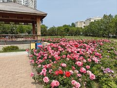 -哈尔滨工业大学(威海校区)