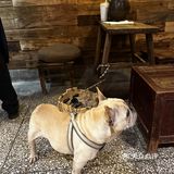 藏在社区的贵州菜馆子[吐]