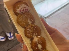 -董顺桃老长沙臭豆腐(步行街店)