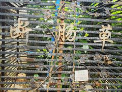 -广州神农草堂中医药博物馆