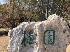 -国家植物园南园