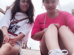 -白洋淀景区