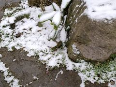 -九峰山