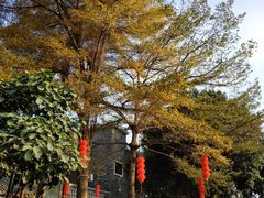 -黄埔古港
