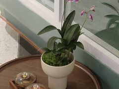 -南堂馆·新川菜(春熙路店)