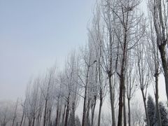 -廊坊文化艺术中心