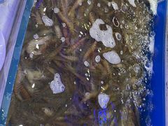 -澜悦港海鲜体验主题餐厅