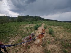 -湖洞水自然风景区