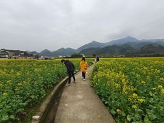 -绩溪龙川景区