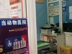 -小叮当动物医院·骨科·眼科