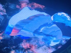 -知美术馆