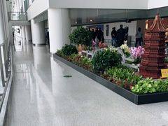 -杭州萧山国际机场