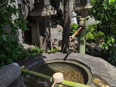 -难波八坂神社