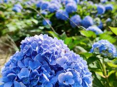 -昆嵛山石门里景区