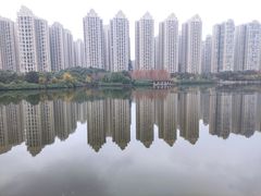 -成都南湖公园