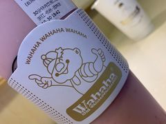-娃哈哈·奶茶(武林店)