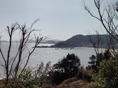 -大京沙滩