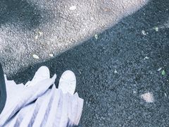 -燕子河大峡谷天坑仙境