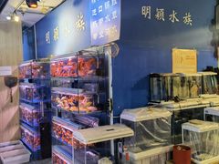 -宝鸡东道花鸟鱼虫市场(吉利花园商场店)