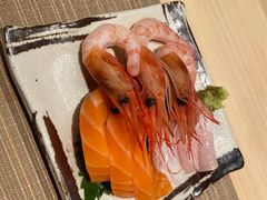 -焘