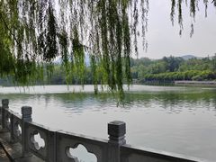 -济南南郊宾馆
