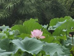 -成都杜甫草堂博物馆