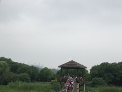 -荷塘月色湿地公园·向阳花洲