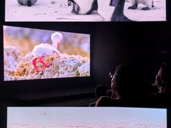 -罗红摄影艺术馆