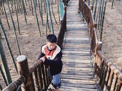 -陶祖圣境风景区