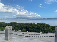 -福田红树林生态公园